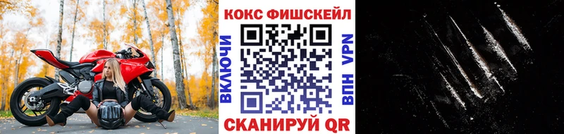 Купить где  Богданович  COCAIN 99% 
