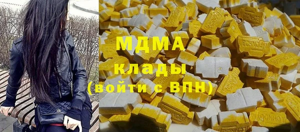 индика Краснослободск