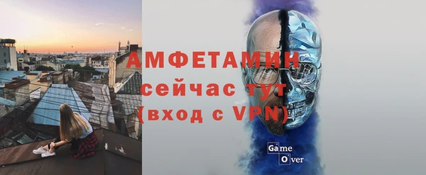 индика Краснослободск