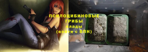 сатива Красноперекопск