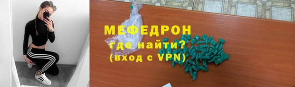 индика Краснослободск