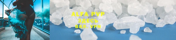 индика Краснослободск