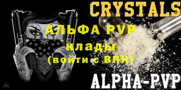 индика Краснослободск