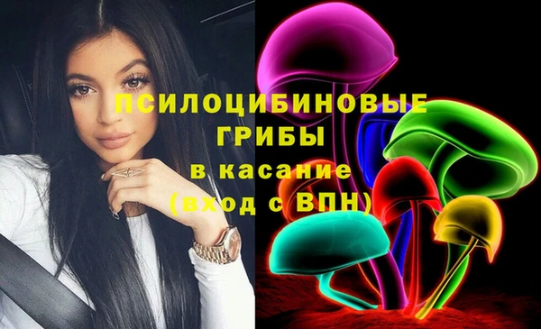 индика Краснослободск
