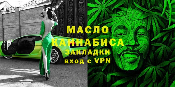 индика Краснослободск