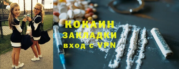 индика Краснослободск