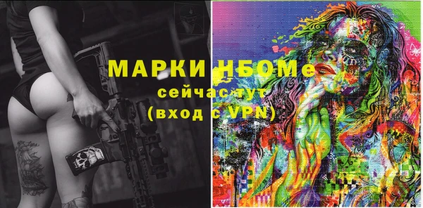 индика Краснослободск