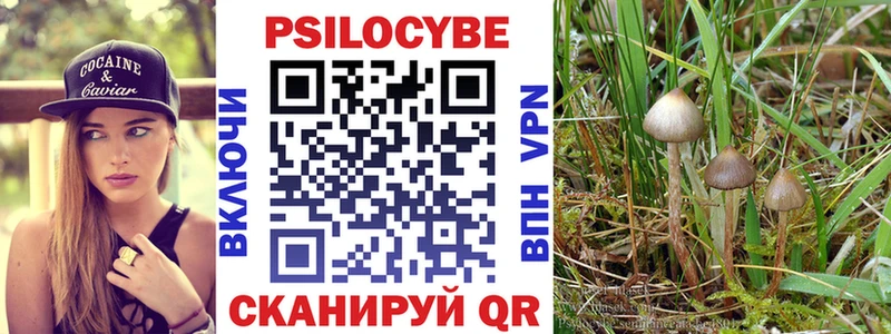 Купить где  Богданович  Галлюциногенные грибы ЛСД 